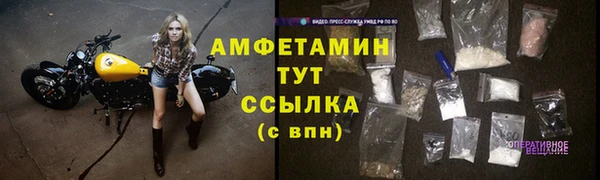 индика Каменск-Шахтинский