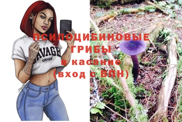 хмурый Каменка