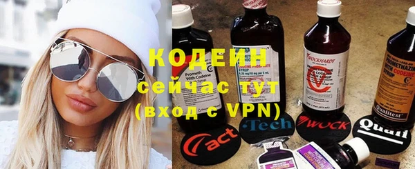 хмурый Каменка