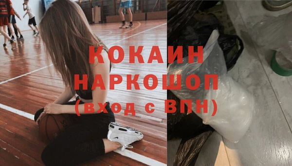 хмурый Каменка