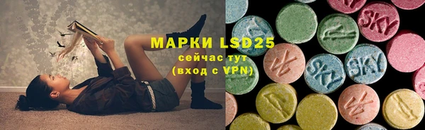 индика Каменск-Шахтинский